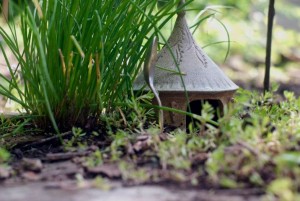 toad house that live at Betsy's house